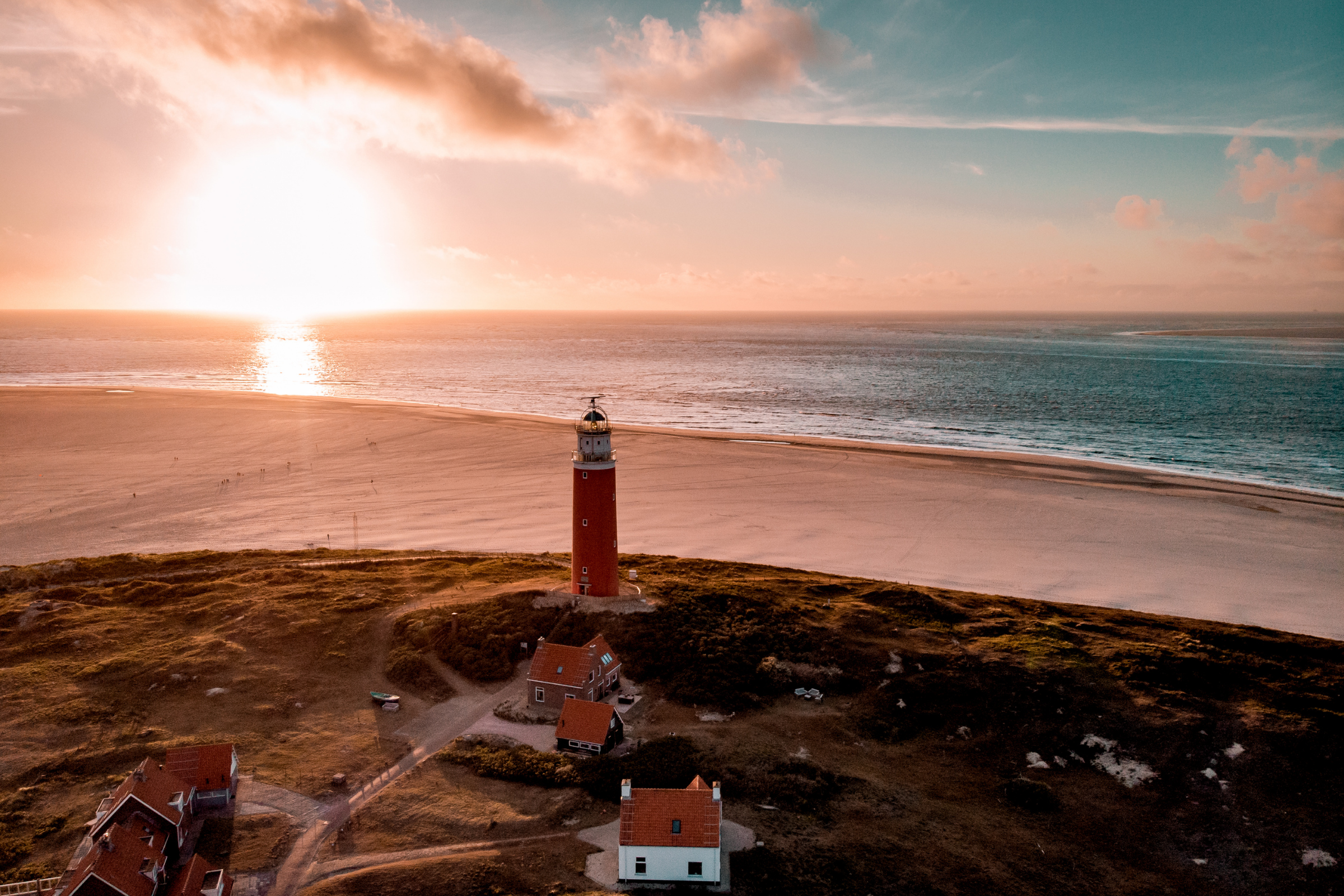 Texel  01.webp